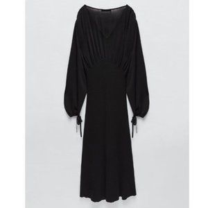 Zara Maxi Long Sleeve Dress